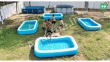 54009 Bestway Inflatable pool  10ft x 6ft x 22inch Blue Rectangular Pool with Free Electrical Pump